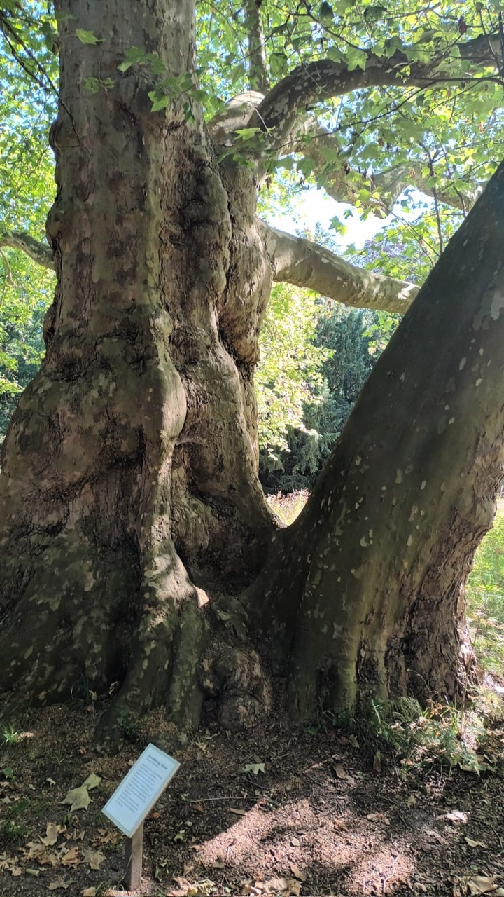 Osterburg9 Park Krumke